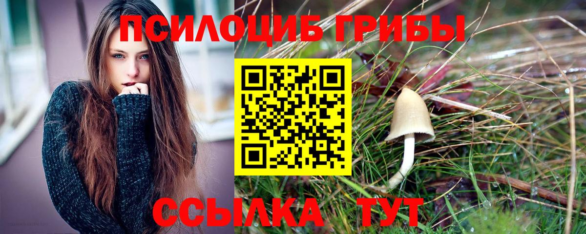 Псилоцибиновые грибы GOLDEN TEACHER  дарнет шоп  Добрянка  Вход с VPN 